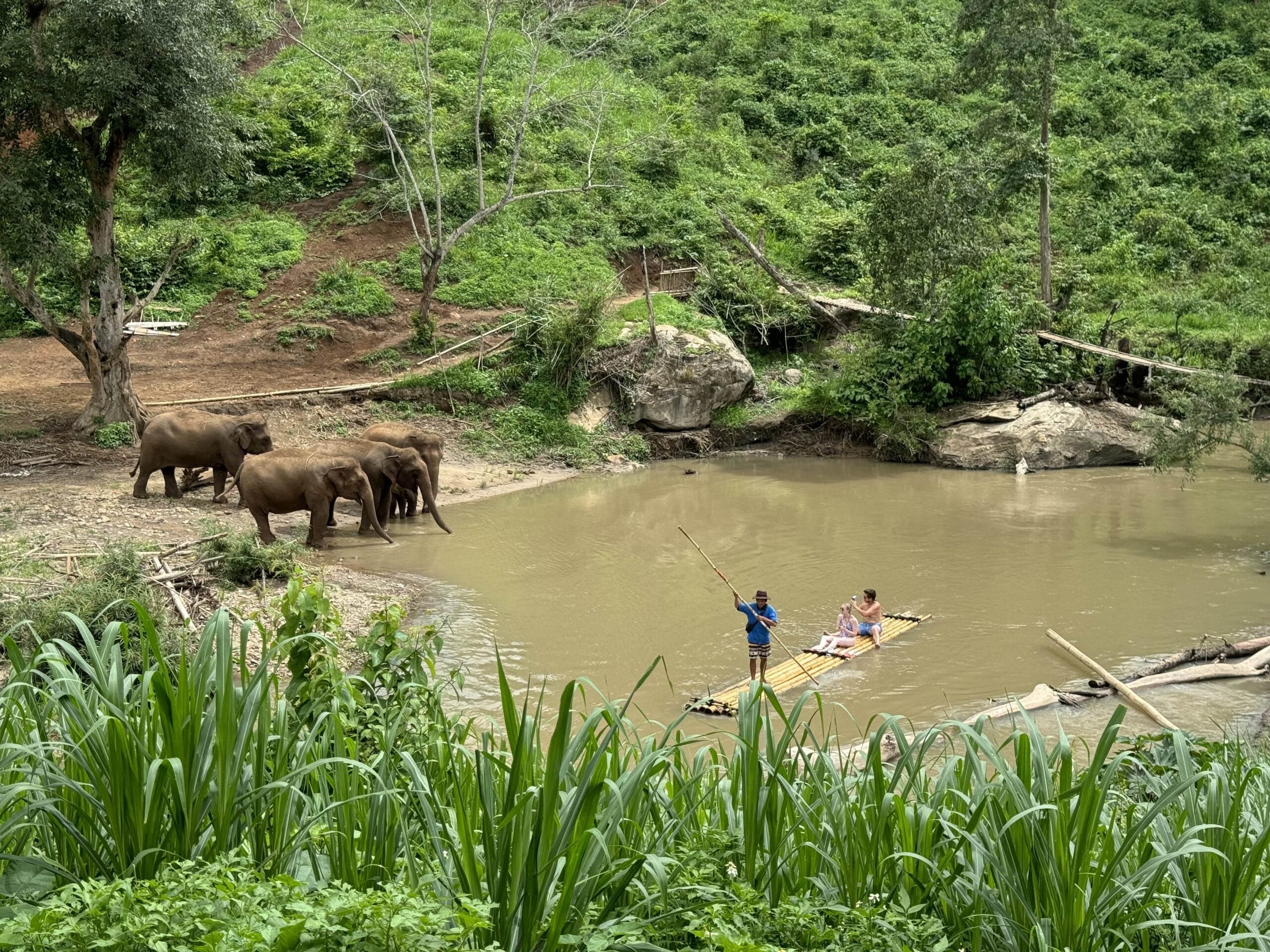 Thaielehub Chiang Mai Full-Day Encounter + Bamboo Rafting elephant sanctuary landscape