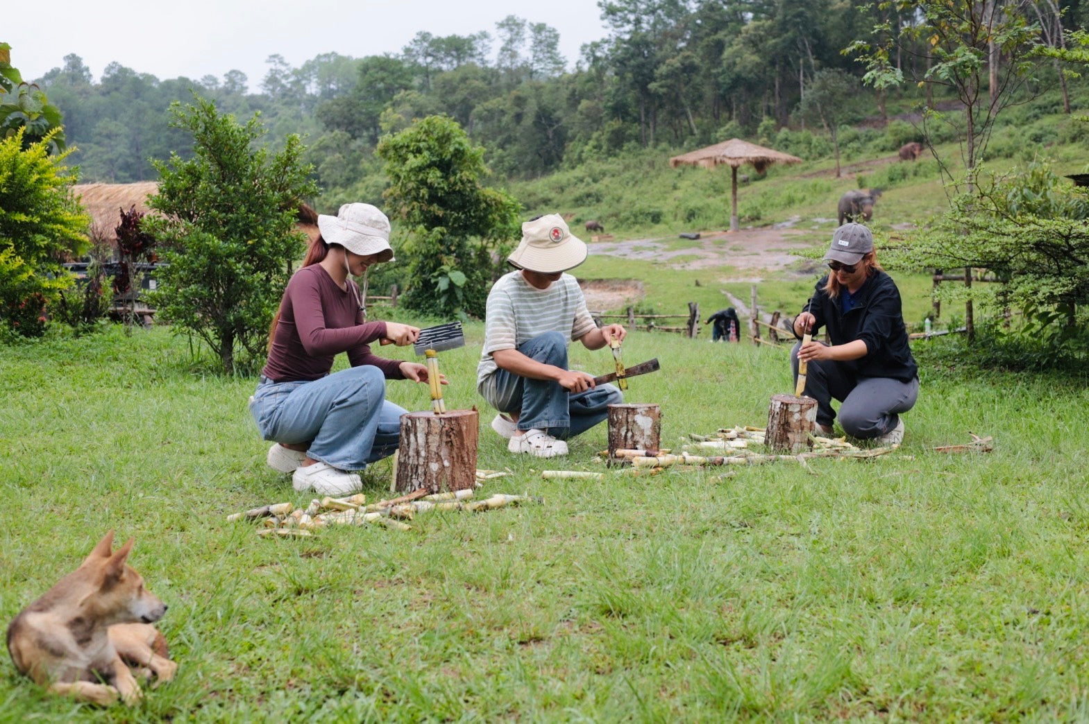 Bamboo rafting and waterfall adventure in Chiang Mai
