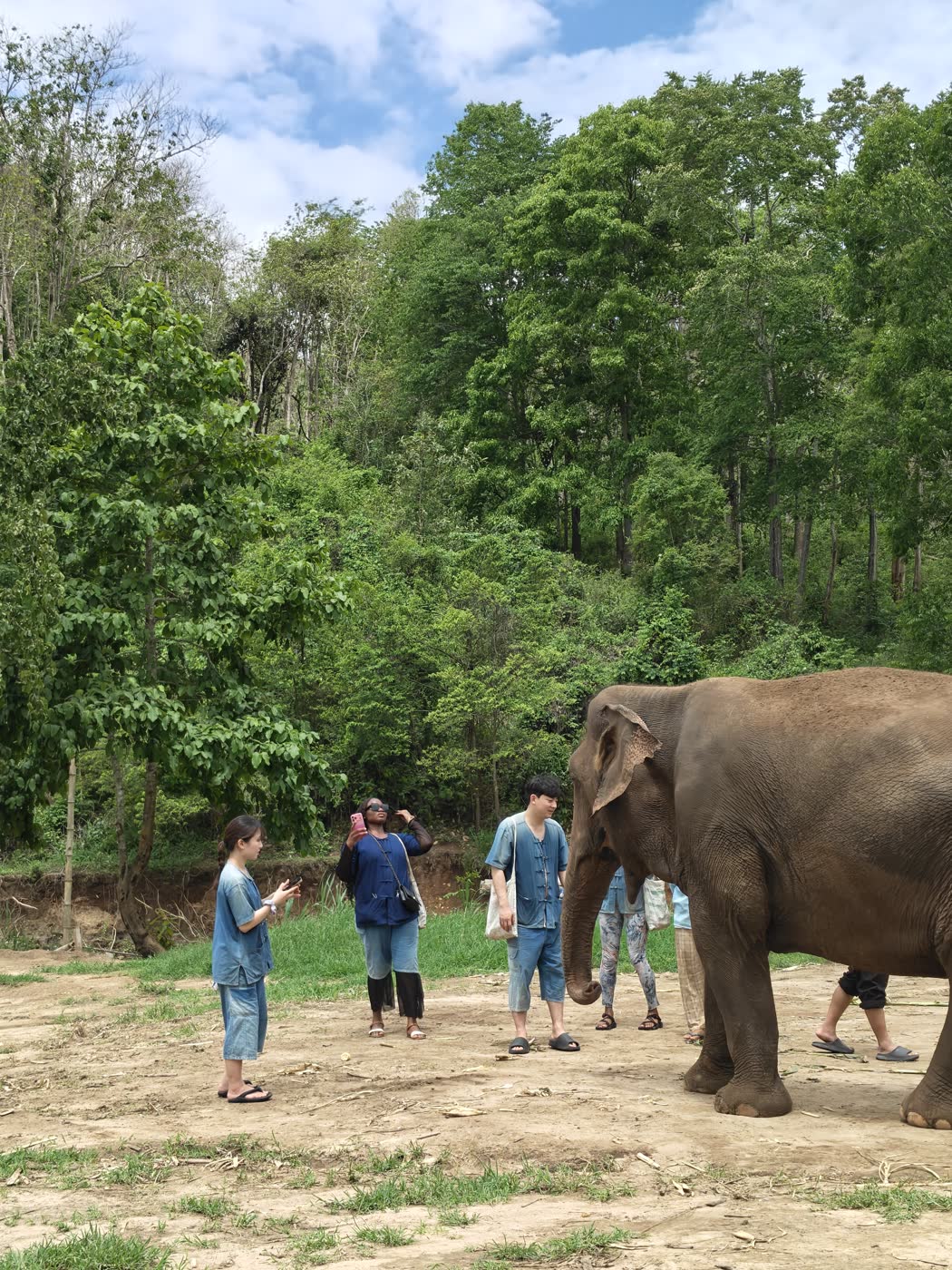 Respectful elephant sanctuary visit in Thailand