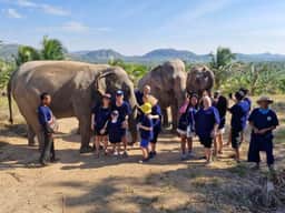 A tour group with the herd at Living Green Chonburi
