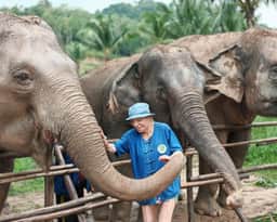 Chonburi Eco-Sanctuary: Half-Day Ethical Encounter (Morning - Pattaya Departure) ethical elephant sanctuary tour photo