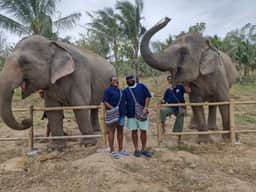 Guests between two elephants at the feeding rail, Living Green Chonburi