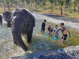 Guests with the herd at the water at Living Green Chonburi