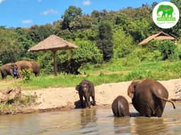 Living Green Chiang Mai: Ethical Elephant Sanctuary & Doi Inthanon Expedition