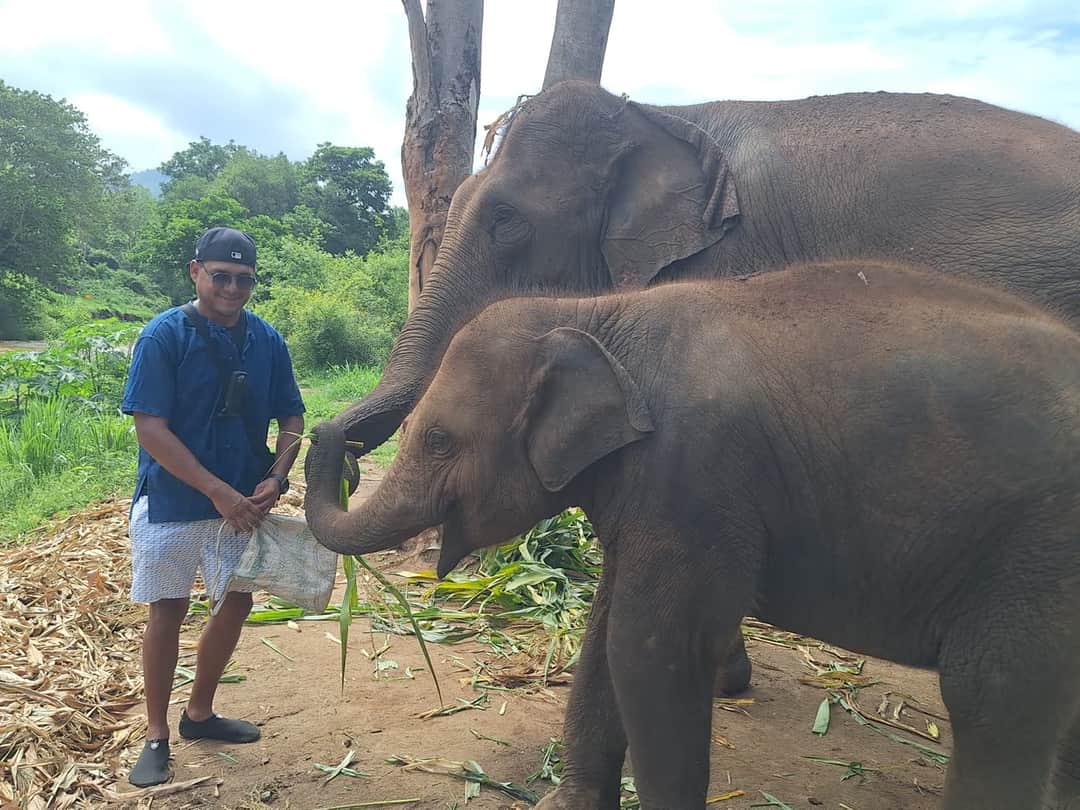 Small-Group Elephant Sanctuary Tours: Why Group Size Changes the Whole Experience — selected sanctuary moment 2
