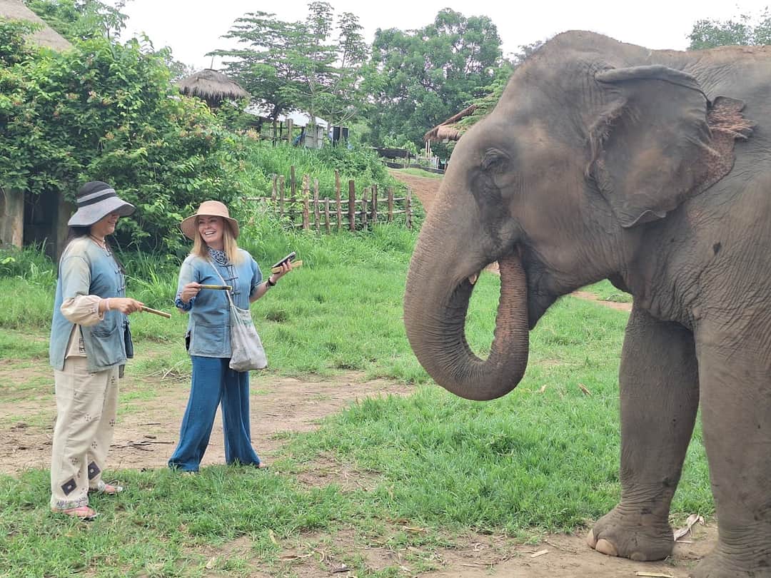 Elephant Bathing, Feeding and Touching in Thailand: What Responsible Travelers Should Know — selected sanctuary moment 1