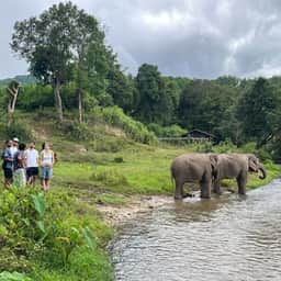 Big Boy Elephant Sanctuary elephant river time in Chiang Mai mountain scenery