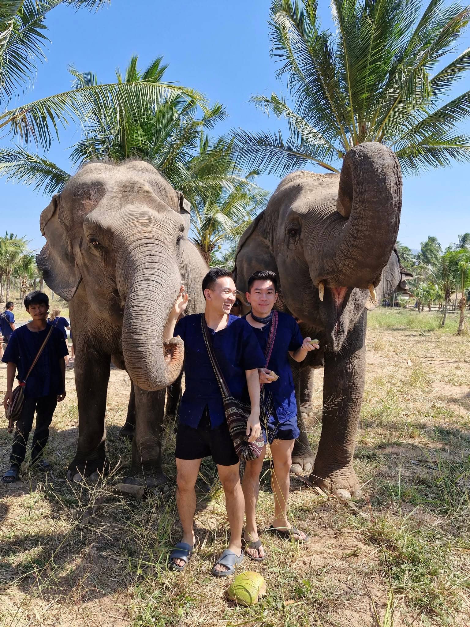Elephant-Led Encounters