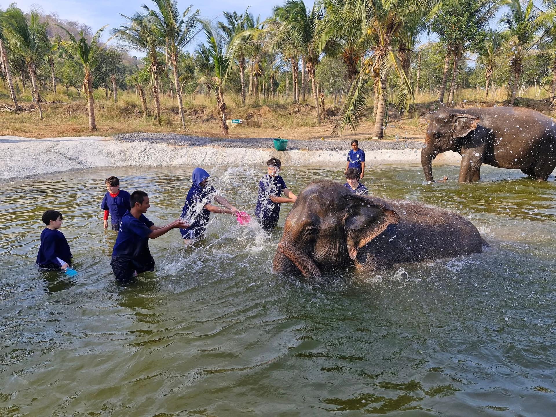 Splashes of Joy.
