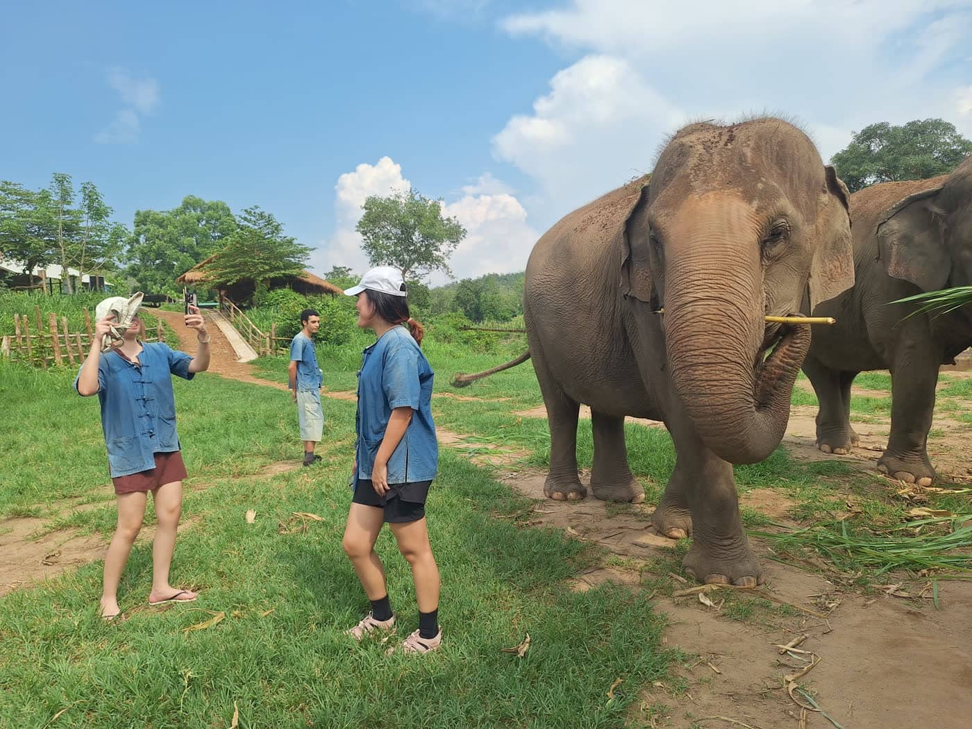 Elephant-Led Encounters