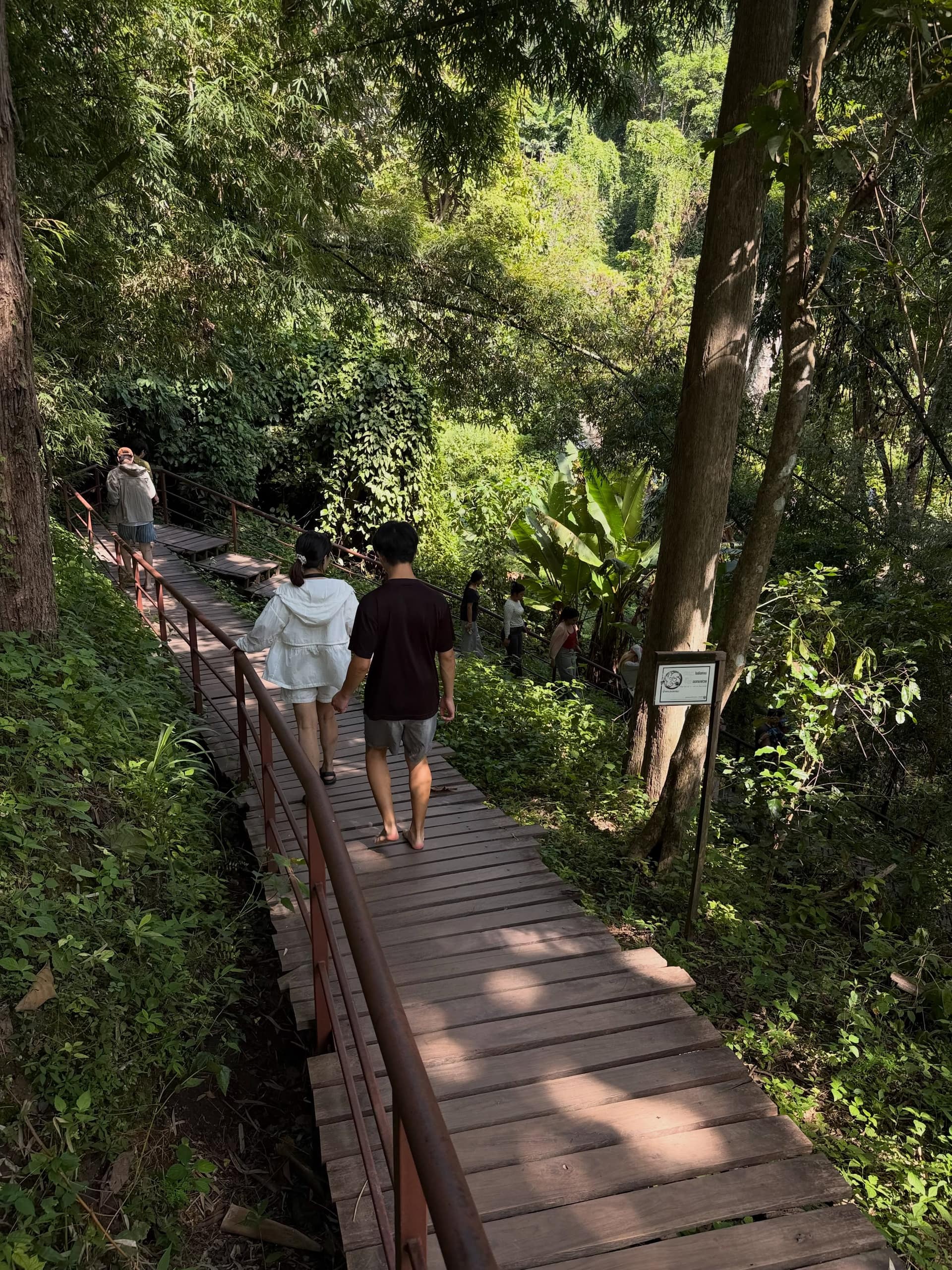 Guests walk a wooden forest boardwalk toward the sanctuary at Big Boy Elephant Sanctuary Chiang Mai