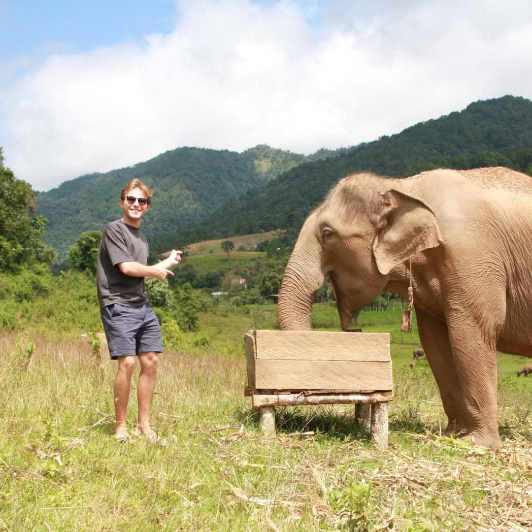 A guest stands beside an elephant at a wooden feeding table in the hills at Big Boy Elephant Sanctuary Chiang Mai