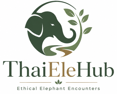 ThaiEleHub — ethical elephant encounters