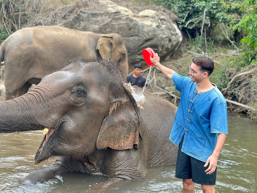 Visitors watching an elephant-led river moment at a calm Chiang Mai ethical sanctuary