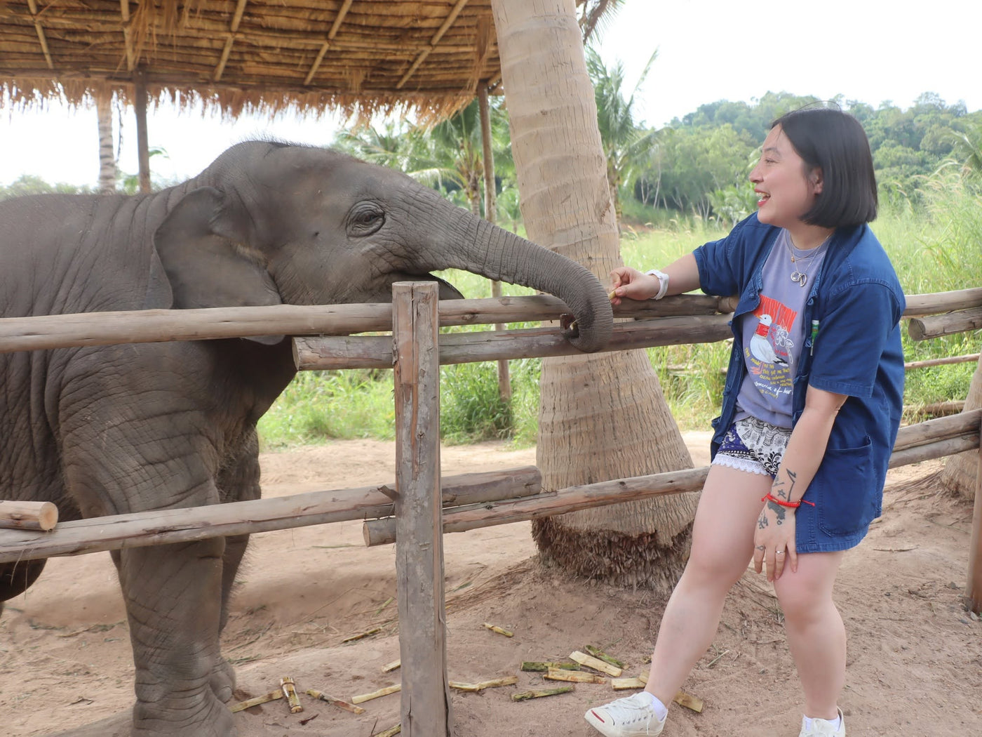 Traveler meeting an elephant at Living Green Elephant Sanctuary Chonburi near Pattaya