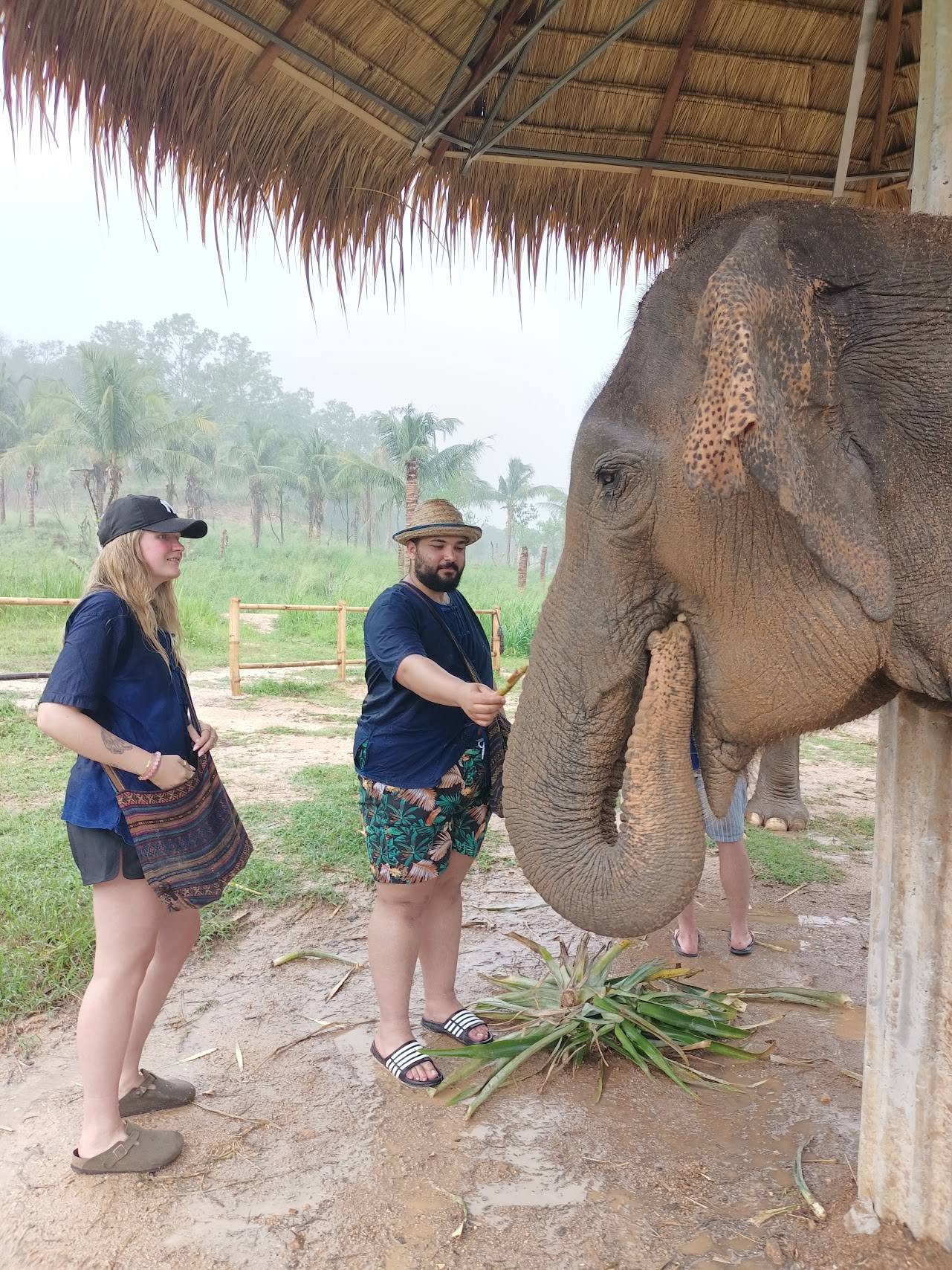 Small-group ethical elephant interaction at Living Green Elephant Sanctuary Chonburi