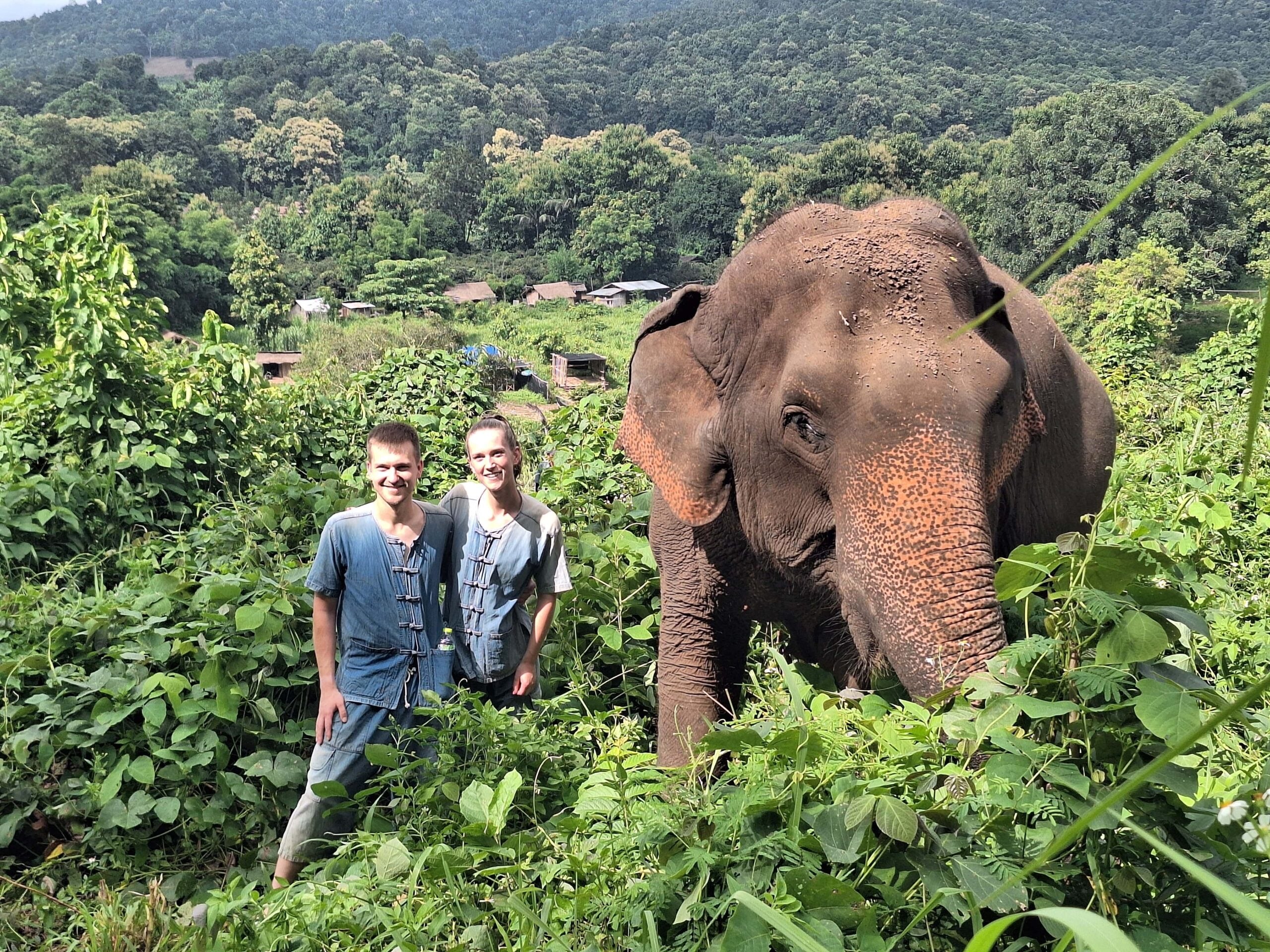 Respectful elephant sanctuary visit in Thailand