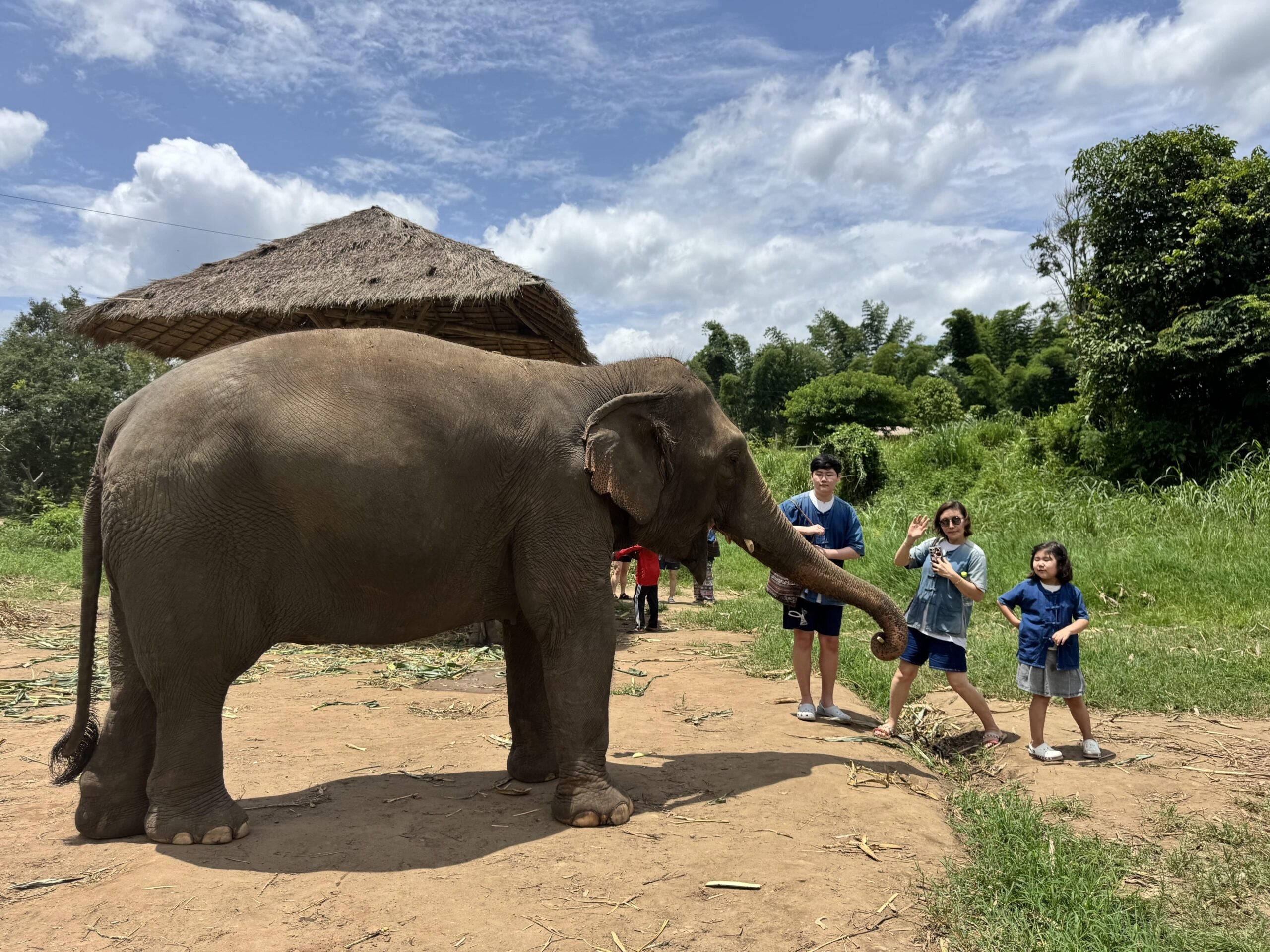 Suspension bridge leading to elephant camp in Chiang Mai