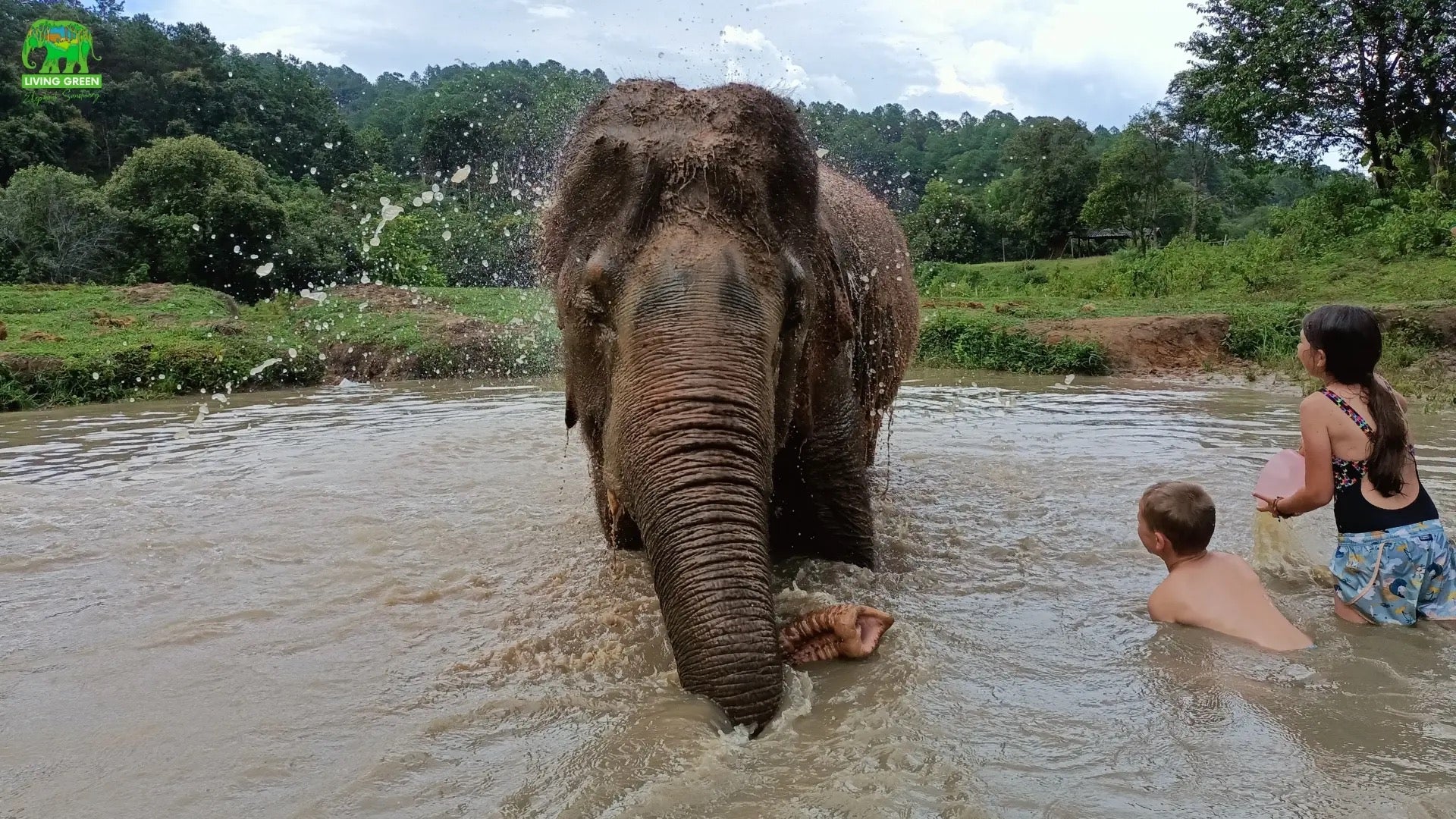 What to Wear & Bring to a Thailand Elephant Sanctuary: A Complete Survival Guide — selected sanctuary moment 1