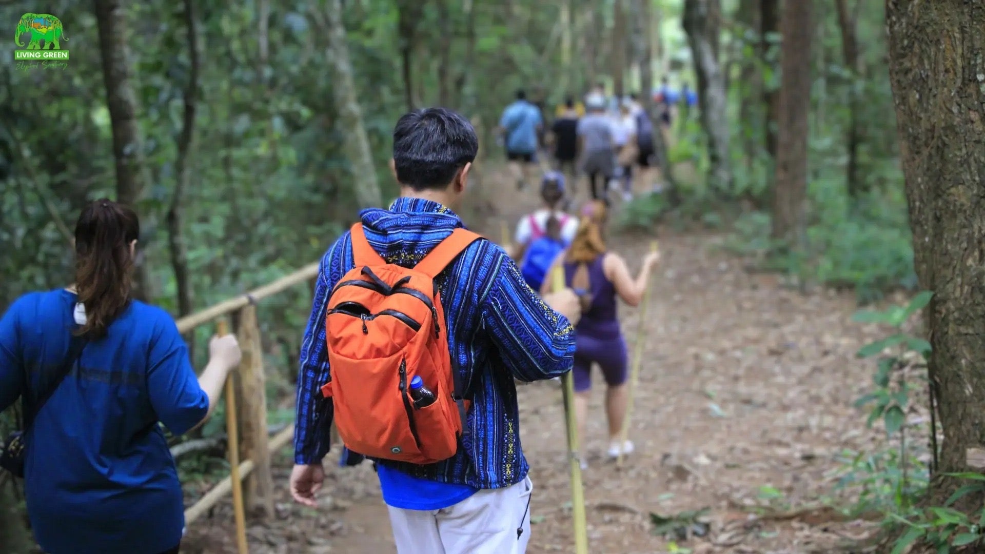 What to Wear & Bring to a Thailand Elephant Sanctuary: A Complete Survival Guide — selected sanctuary moment 5
