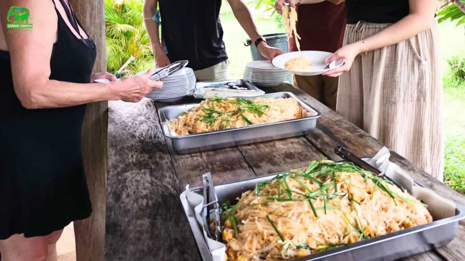 What to Wear & Bring to a Thailand Elephant Sanctuary: A Complete Survival Guide — selected sanctuary moment 6