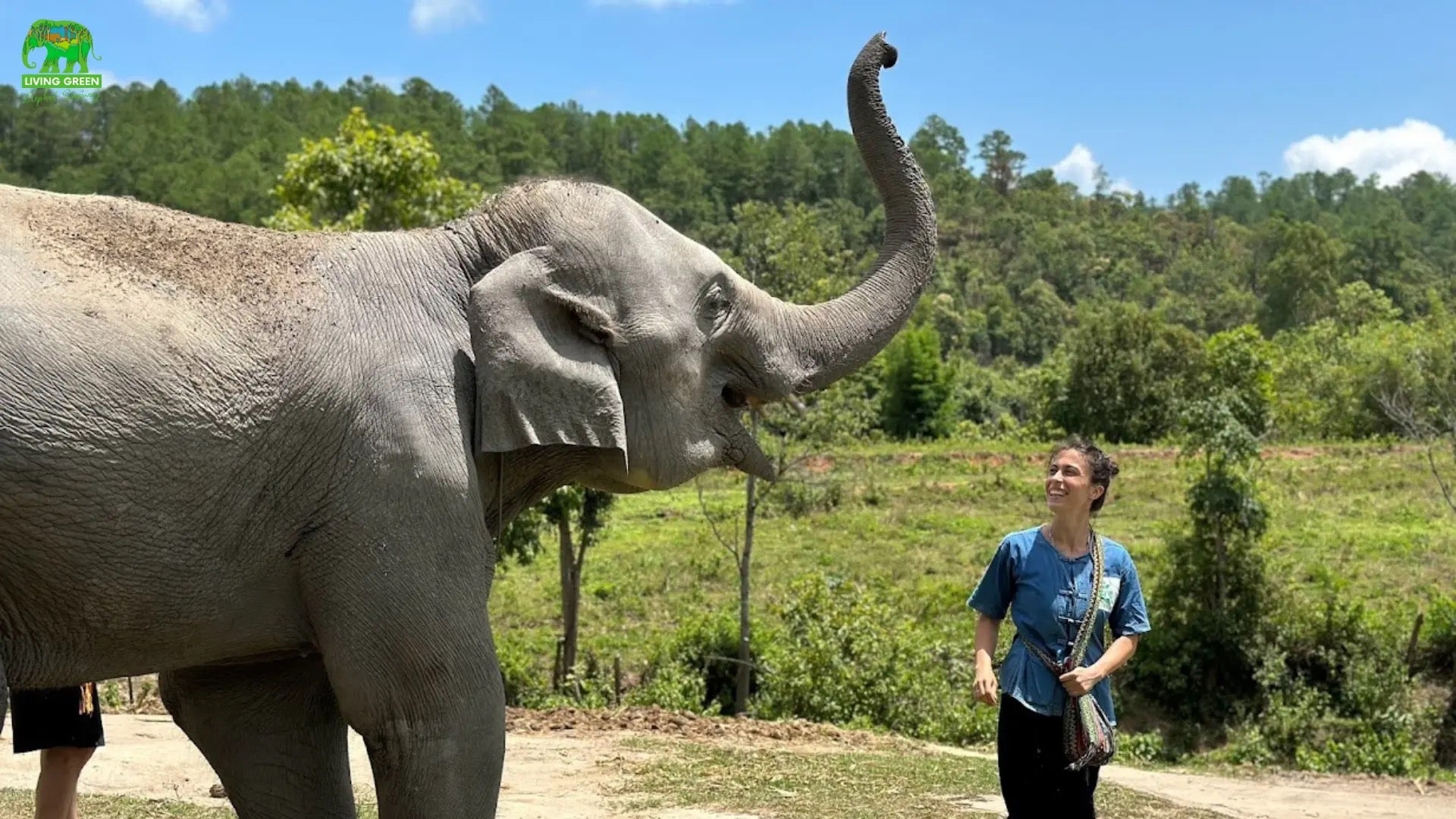 Elephant Bathing, Feeding and Touching in Thailand: What Responsible Travelers Should Know — selected sanctuary moment 2