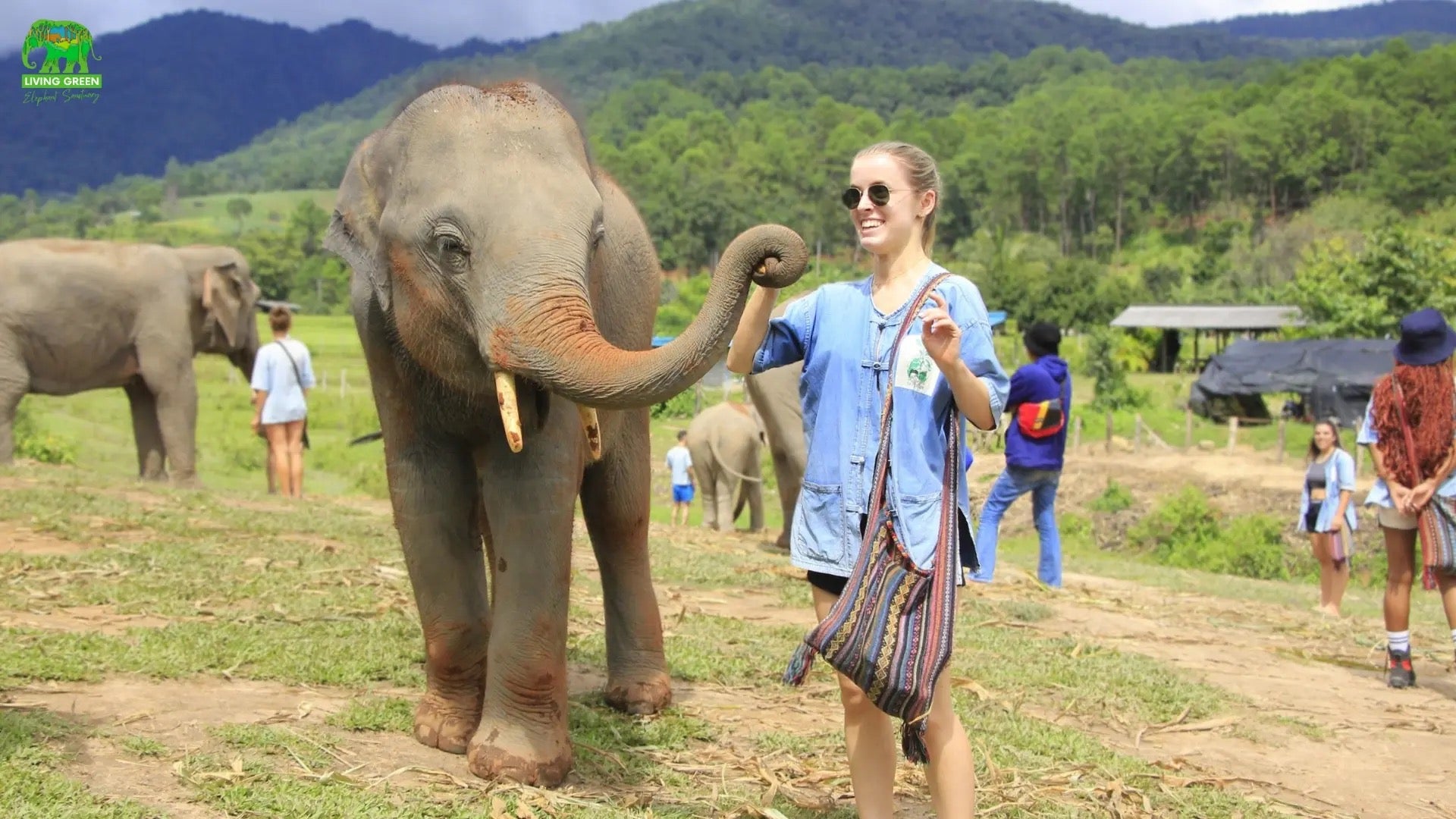 Elephant Bathing, Feeding and Touching in Thailand: What Responsible Travelers Should Know — selected sanctuary moment 4