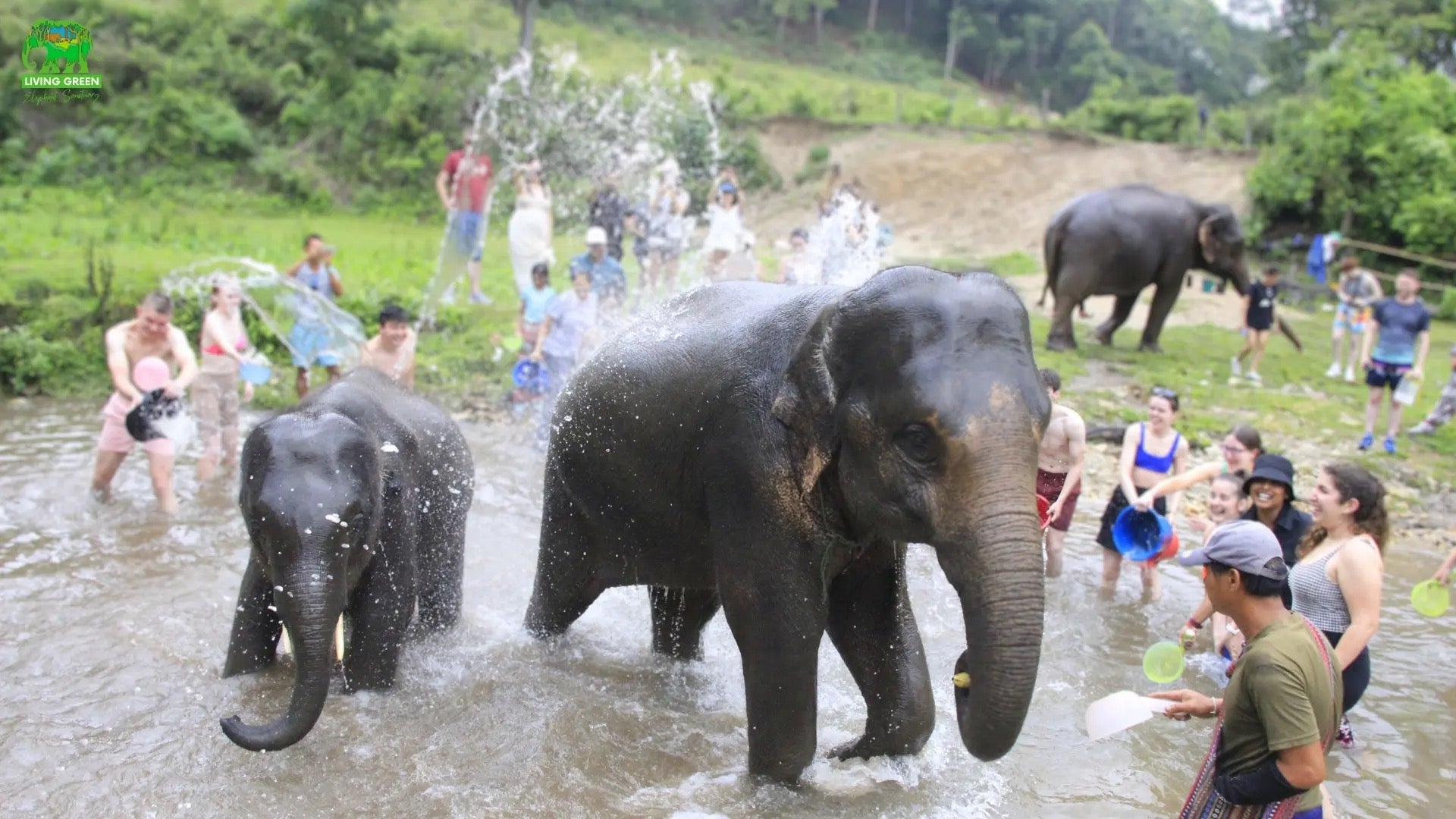 Elephant Bathing, Feeding and Touching in Thailand: What Responsible Travelers Should Know — selected sanctuary moment 5