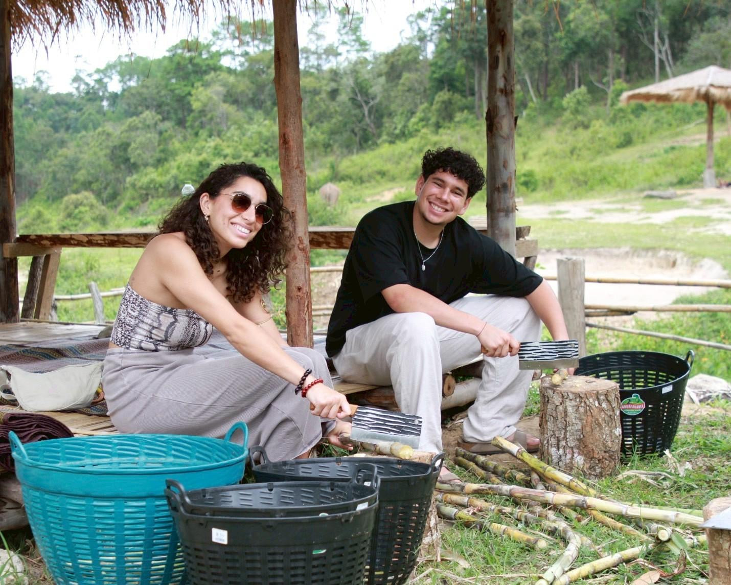 Why No-Contact Matters: The Philosophy Behind Thaielehub Elephant Sanctuary — selected sanctuary moment 4