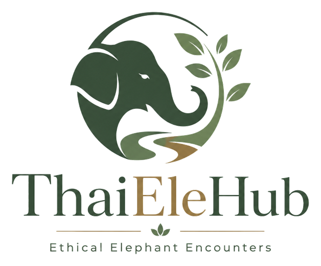 ThaiEleHub Ethical Elephant Encounters