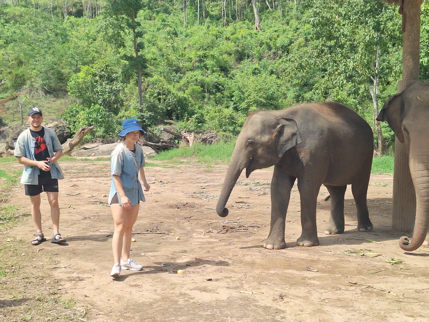 Baby elephant Charlie at Chonburi sanctuary near Pattaya