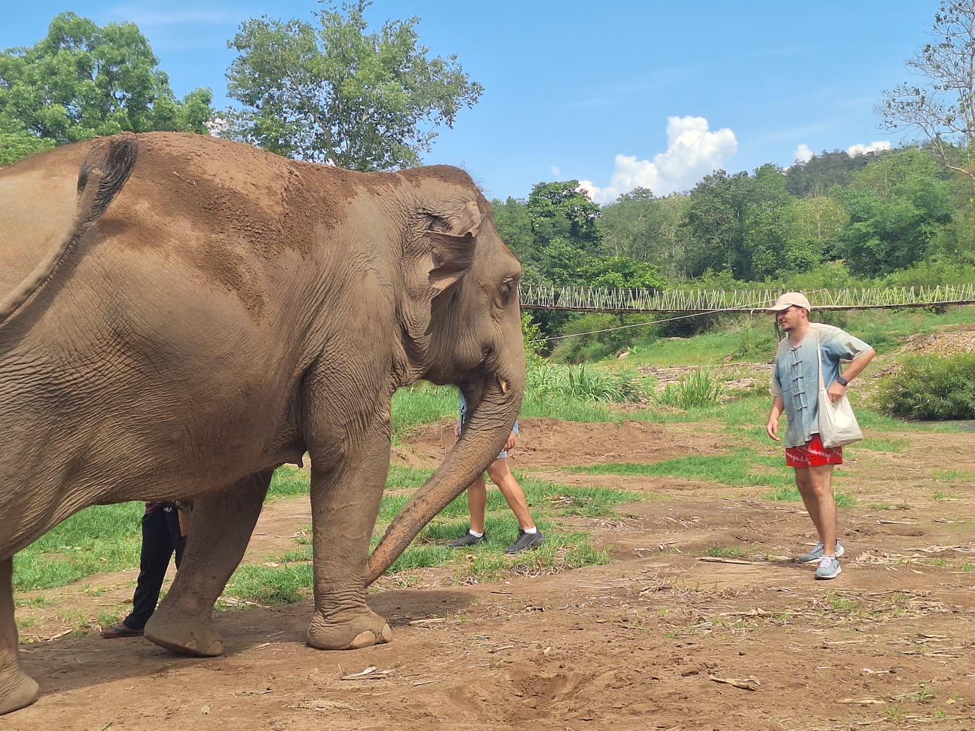 Suspension bridge leading to elephant camp in Chiang Mai