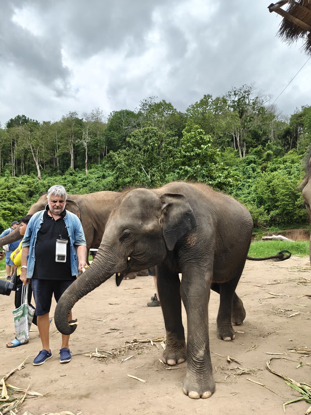Doi Inthanon waterfall and national park trekking