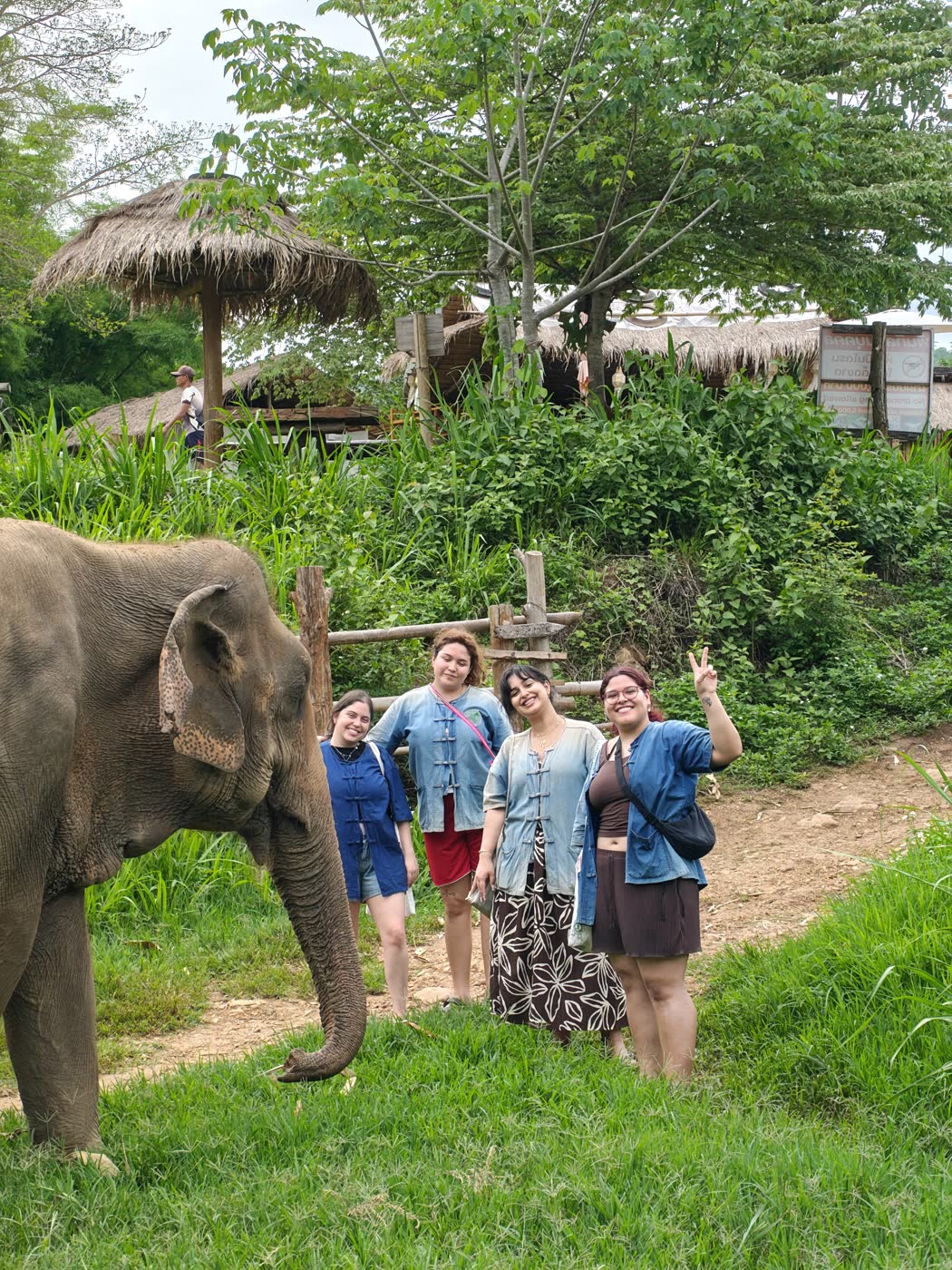 Chiang Mai Elephant Sanctuary, Waterfall, Bamboo Rafting or Cooking: How to Choose a Combination Tour — ethical elephant sanctuary field photo