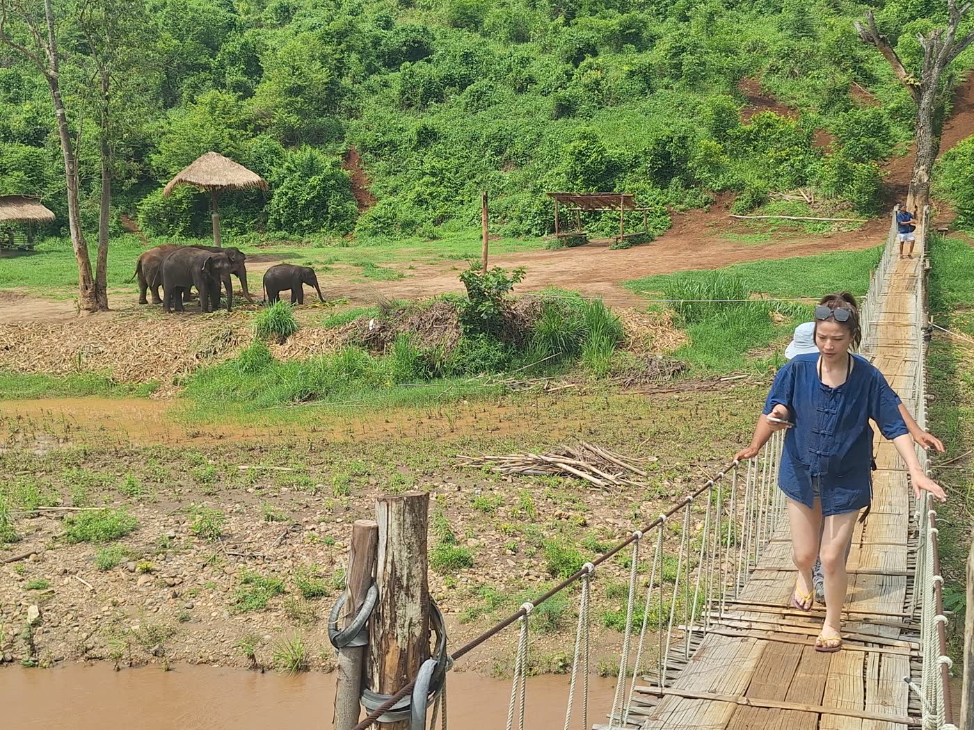 Chiang Mai vs Bangkok vs Pattaya Elephant Sanctuary Tours: Which Location Fits Your Thailand Trip? — ethical elephant sanctuary field photo