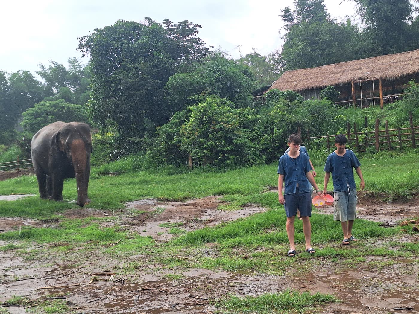 Small-Group Elephant Sanctuary Tours: Why Group Size Changes the Whole Experience — selected sanctuary moment 1