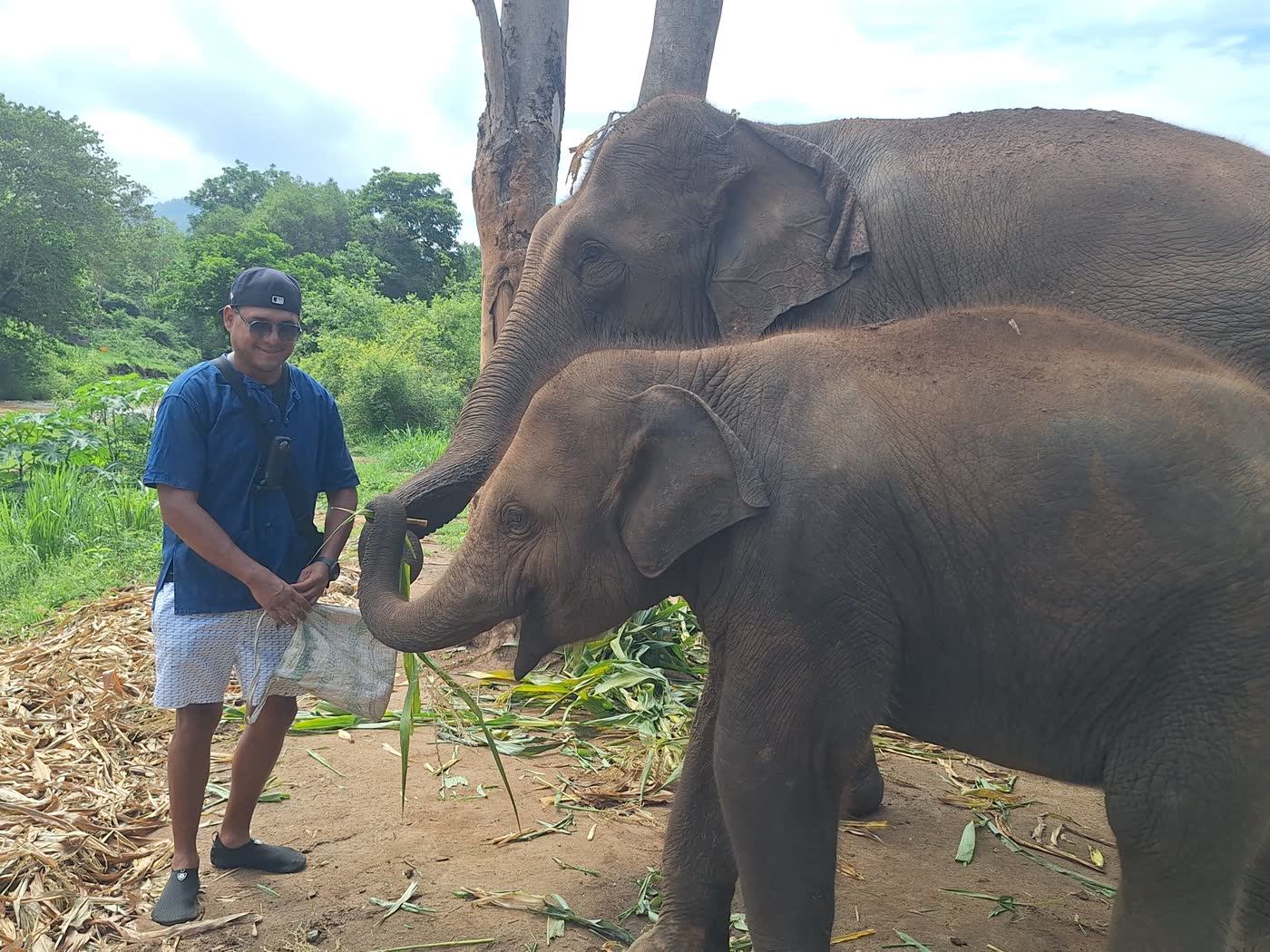 Small-Group Elephant Sanctuary Tours: Why Group Size Changes the Whole Experience — selected sanctuary moment 2