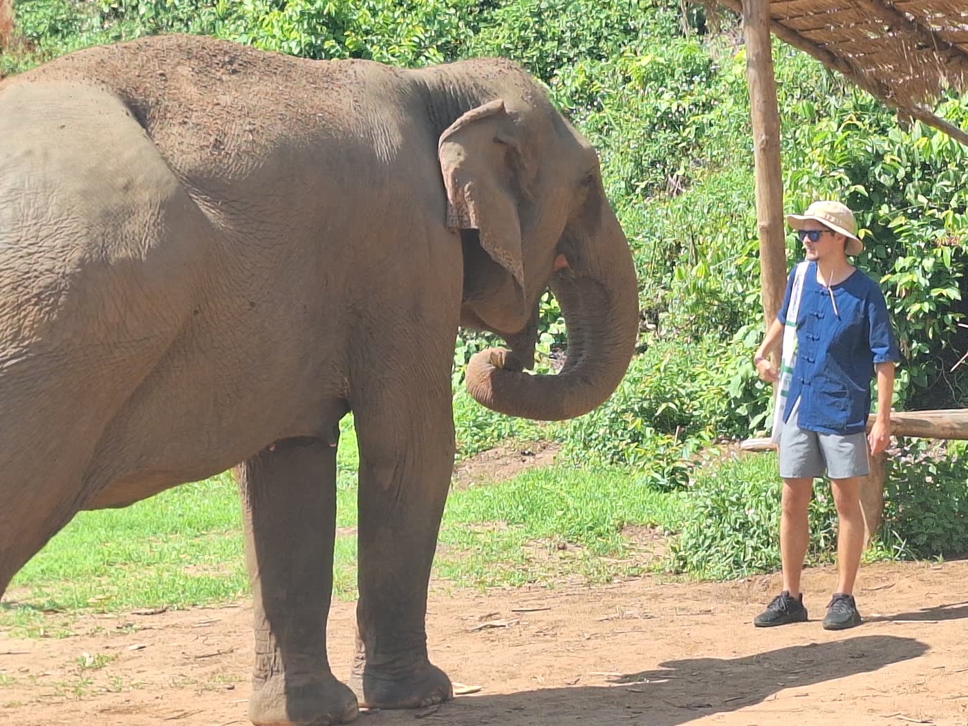 Small-Group Elephant Sanctuary Tours: Why Group Size Changes the Whole Experience — selected sanctuary moment 4