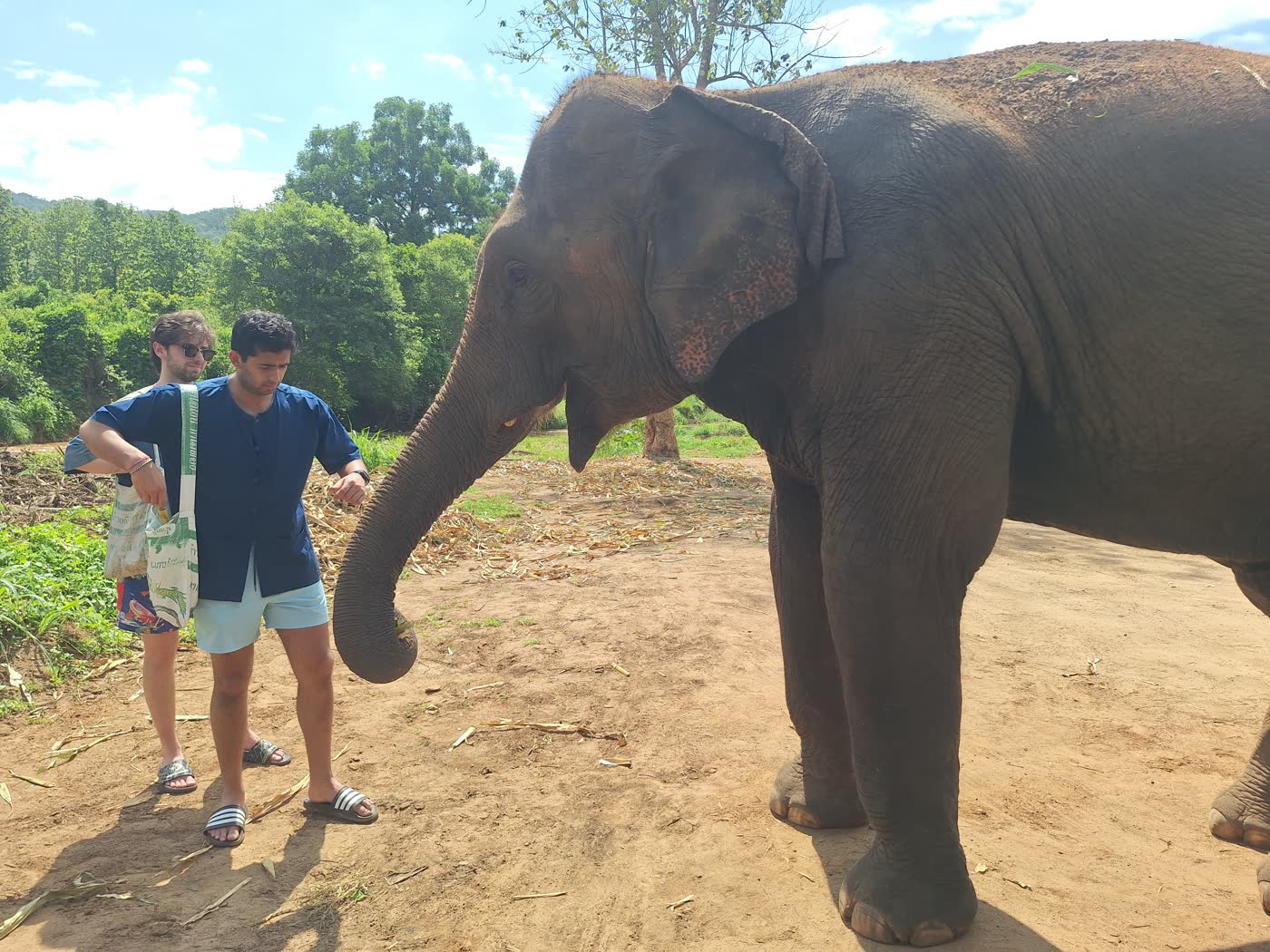 Small-Group Elephant Sanctuary Tours: Why Group Size Changes the Whole Experience — selected sanctuary moment 5