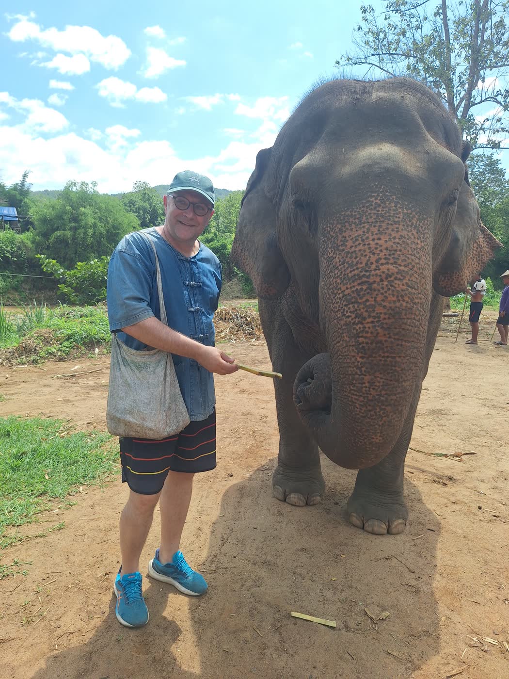 Small-Group Elephant Sanctuary Tours: Why Group Size Changes the Whole Experience — selected sanctuary moment 6