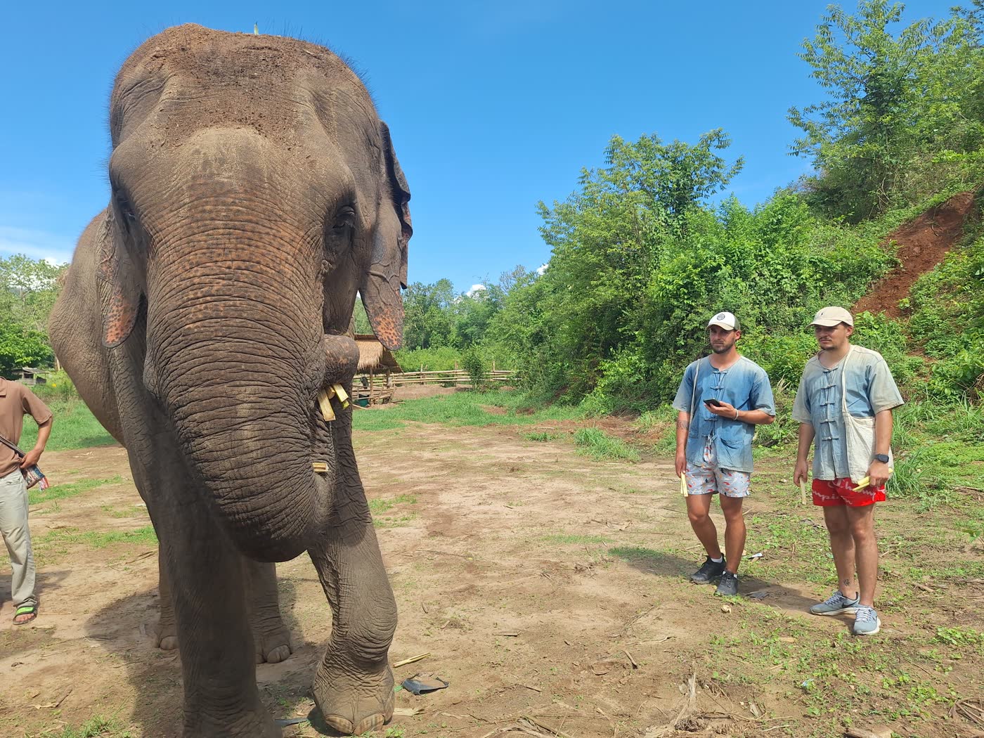 Thailand Elephant Sanctuary Packing List: What to Bring — selected sanctuary moment 1