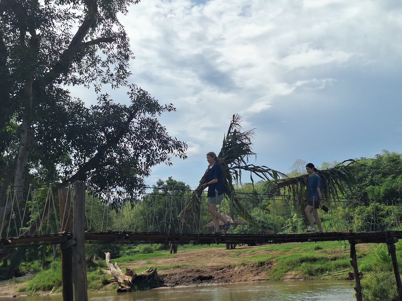 Thailand Elephant Sanctuary Packing List: What to Bring — selected sanctuary moment 2