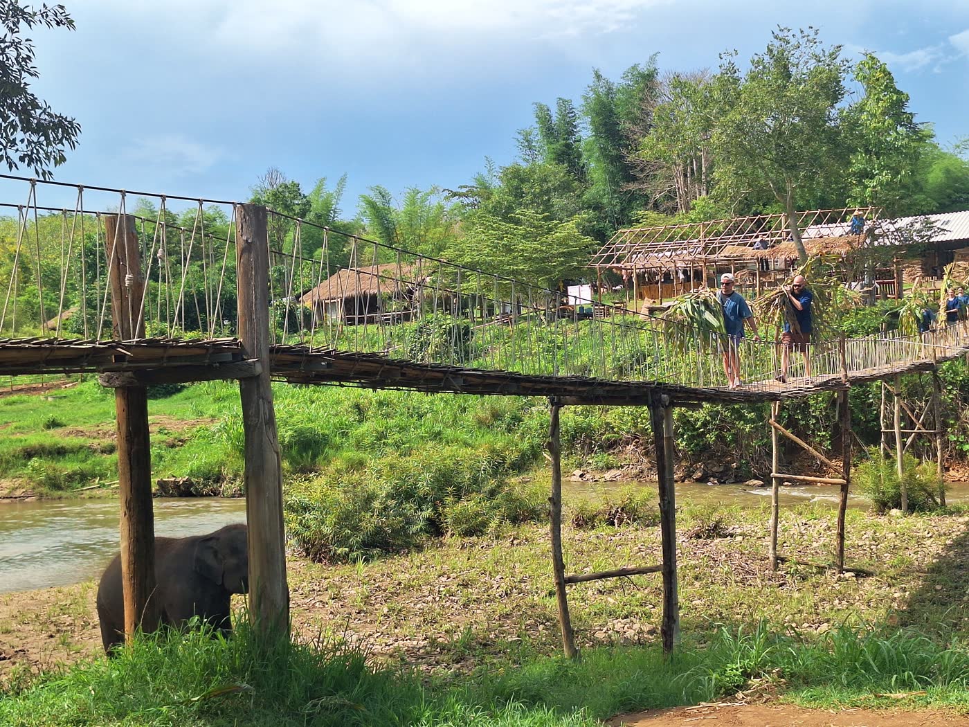 Thailand Elephant Sanctuary Packing List: What to Bring — selected sanctuary moment 4
