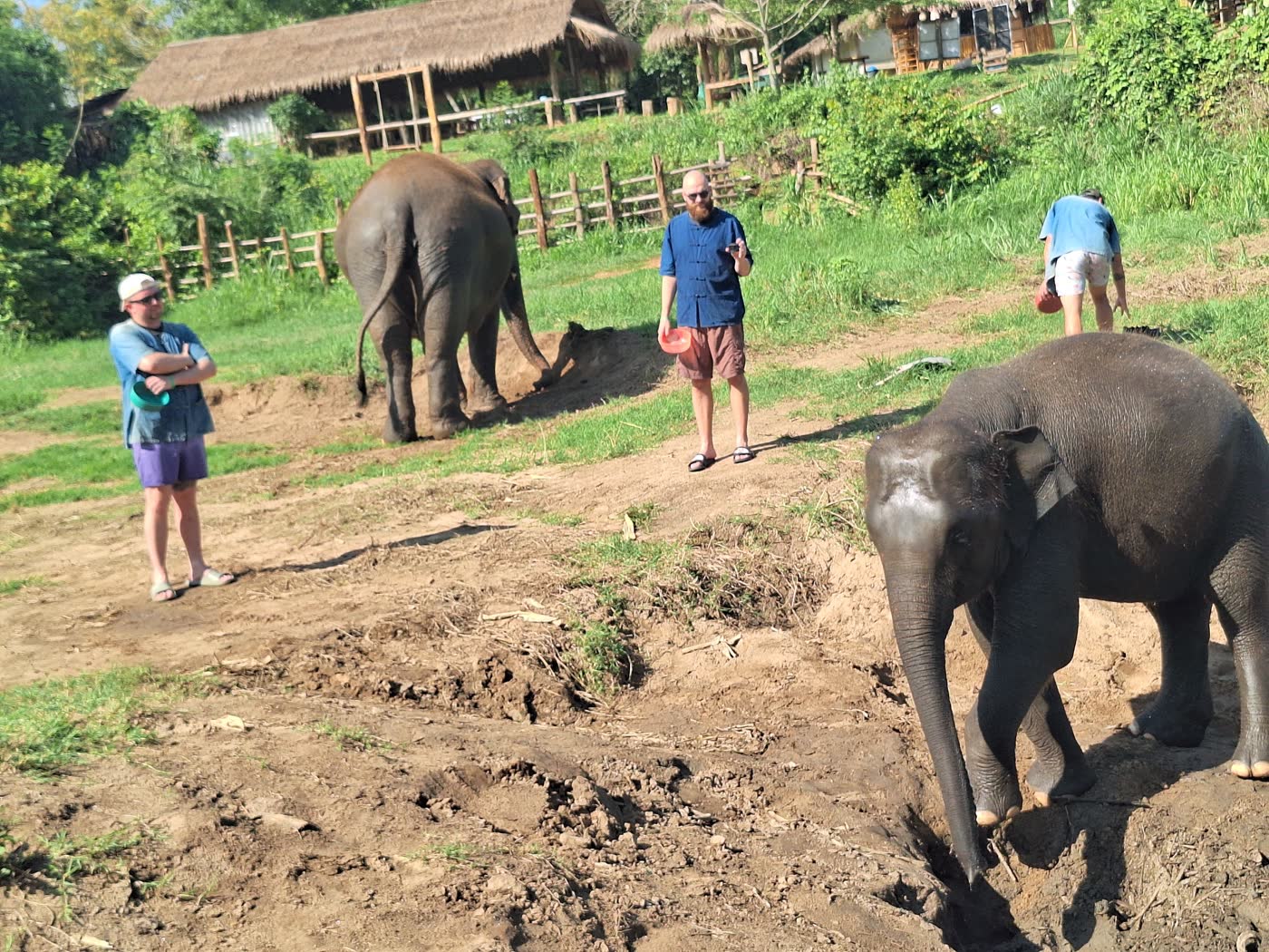 Thailand Elephant Sanctuary Packing List: What to Bring — selected sanctuary moment 6