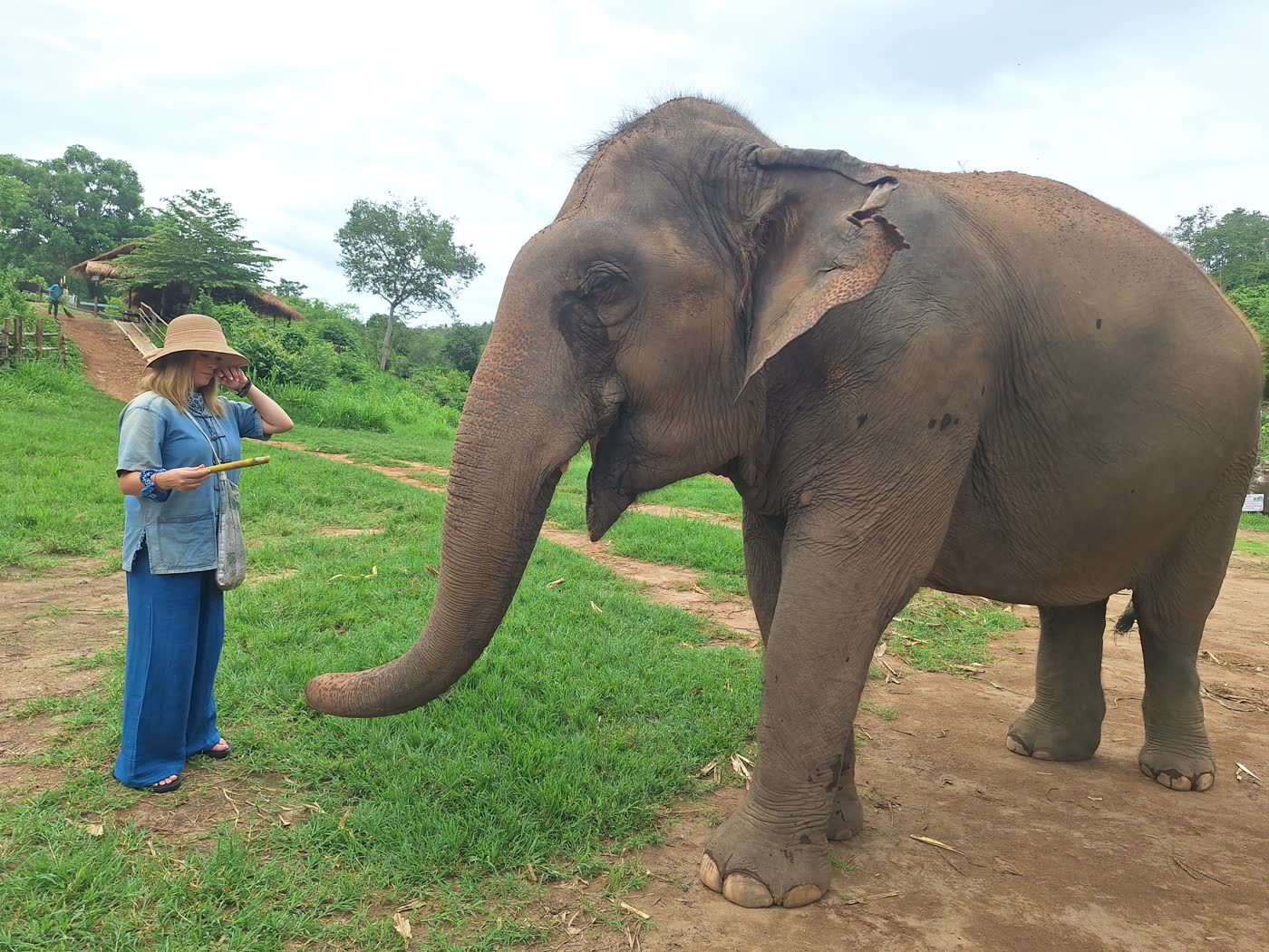 First Time in Thailand? How to Add an Ethical Elephant Sanctuary Day Without Overplanning — selected sanctuary moment 2