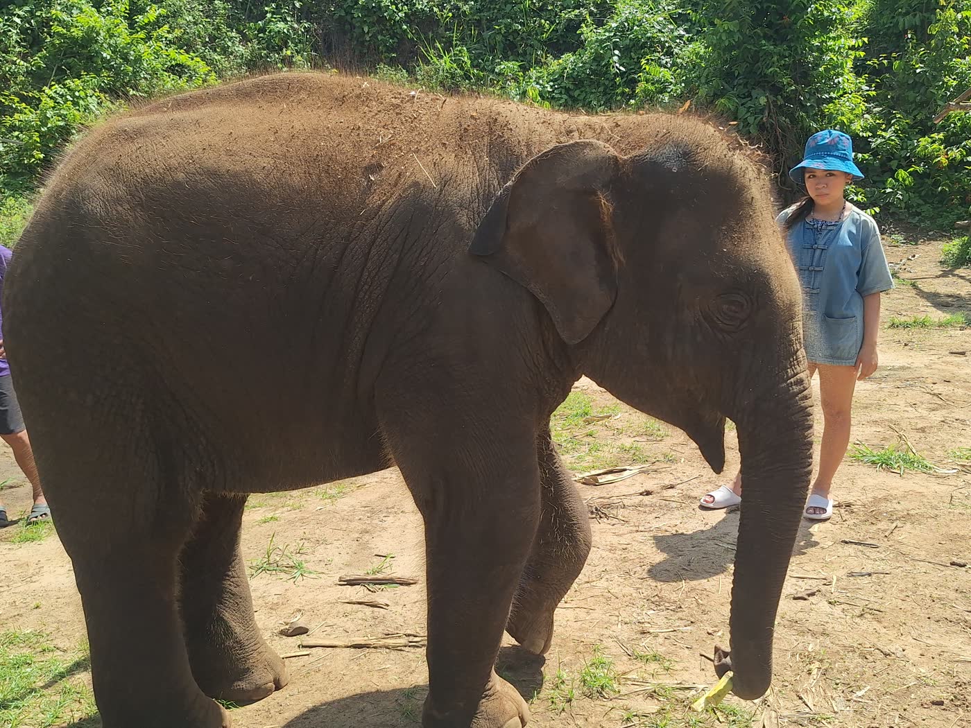 First Time in Thailand? How to Add an Ethical Elephant Sanctuary Day Without Overplanning — selected sanctuary moment 4