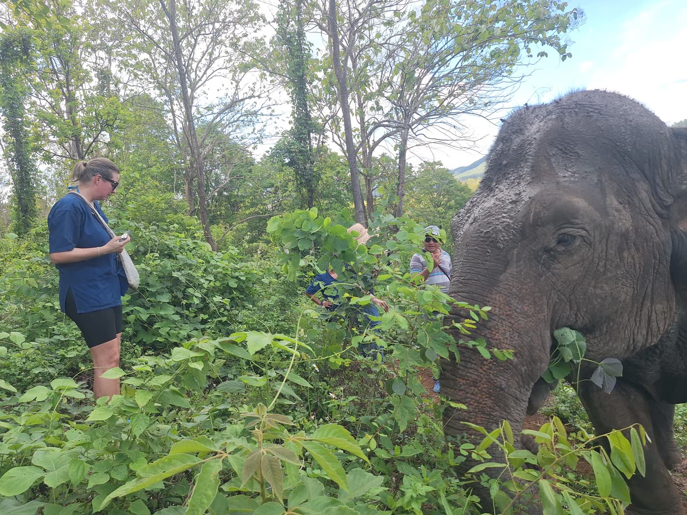 First Time in Thailand? How to Add an Ethical Elephant Sanctuary Day Without Overplanning — selected sanctuary moment 5